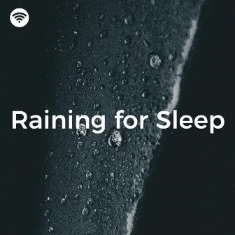 Raining for Sleep (Cozy Calming Nocturnal Rain) by KEI NATURE