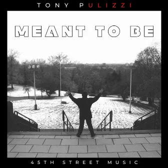 Meant To Be by Tony Pulizzi