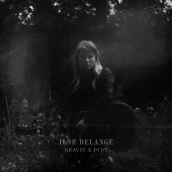 Went For A While by Ilse DeLange