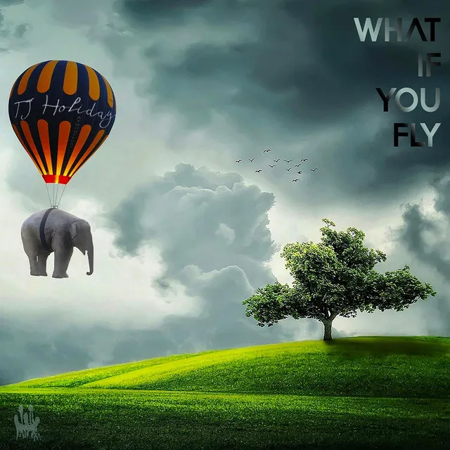 What If You Fly