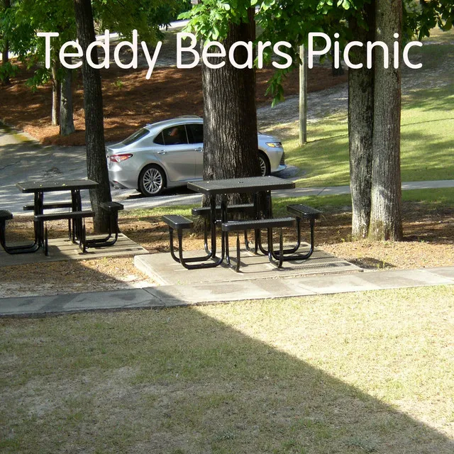 Teddy Bears Picnic