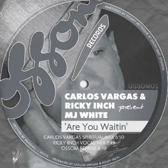 Are You Waitin (Carlos Vargas & Ricky Inch present MJ White) by Ricky Inch