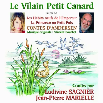 Contes d'Andersen : Le vilain petit canard et autres contes by Ludivine Sagnier