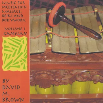 Music for Meditation, Massage, Reiki and Bodywork Volume 3 by David M. Brown