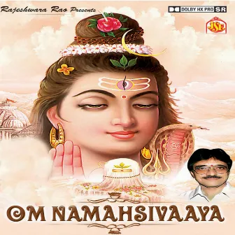 Om Namahsivaaya by P. Ranganath