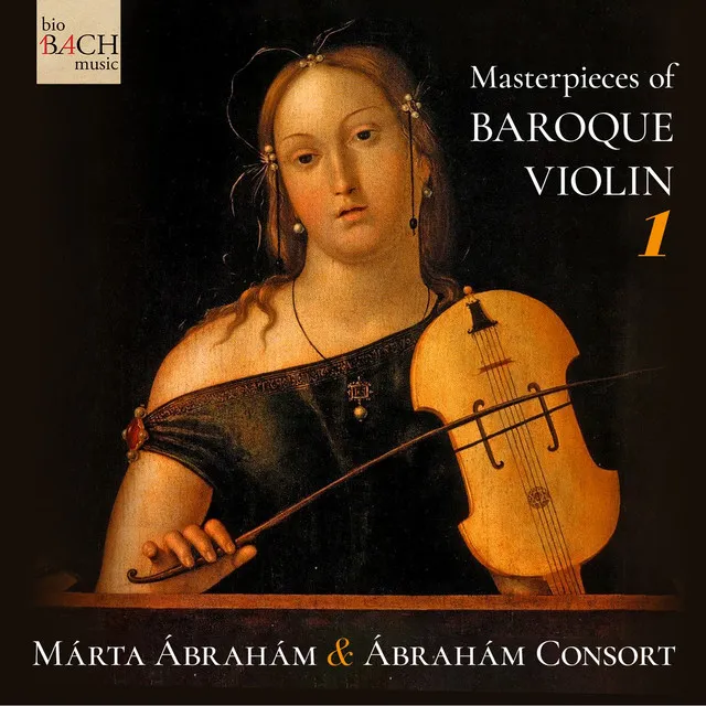 Violin Concerto in B Minor, RV 387 "Per Signora Anna Maria": I. Allegro