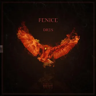 Fenice by Dres