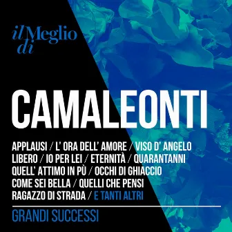 Il Meglio Di Camaleonti: Grandi Successi by I Camaleonti