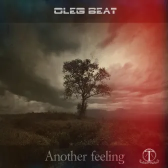 Another Feeling by Oleg Beat