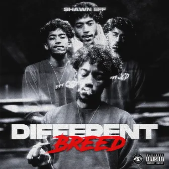 Different Breed by Shawn Eff