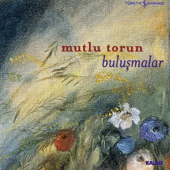 Buluşmalar by Mutlu Torun