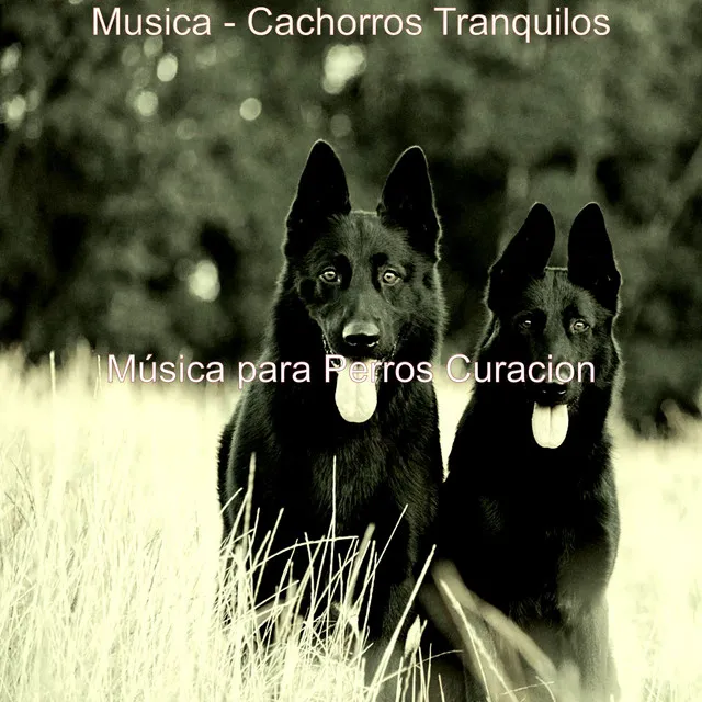 Fantastico (Perros)