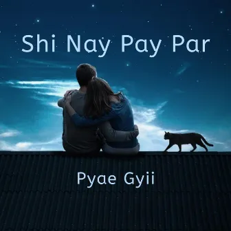 Shi Nay Pay Par by Pyae Gyii