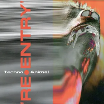 Re-Entry by Techno Animal