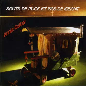 Sauts de puce et pas de géant by Annie Gallay