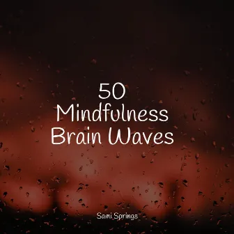 50 Mindfulness Brain Waves by White Noise Baby Sleep