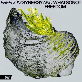 Freedom by Synergy