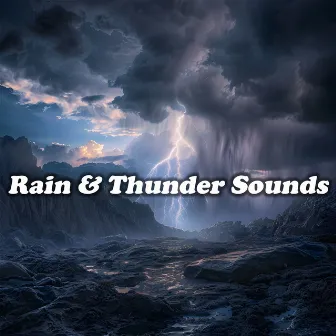 Rain & Thunder Sounds by Rain & Thunder Sounds