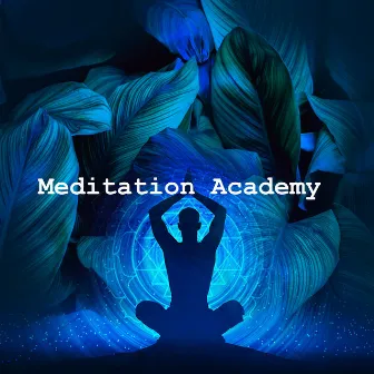 Meditation Academy by Meditation Hz