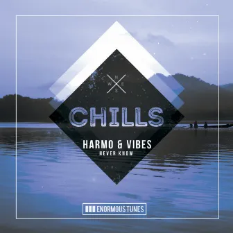 Never Know by Harmo & Vibes