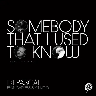 Somebody That I Used to Know by DJ Pascal