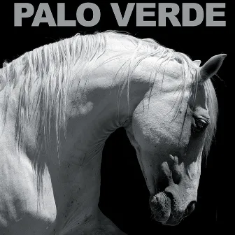 Zero Hour by Palo Verde