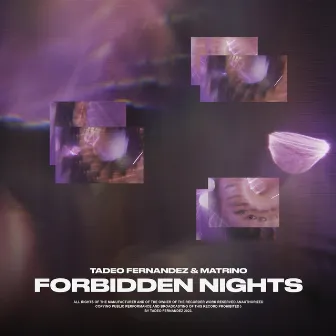 Forbidden Nights by Tadeo Fernandez