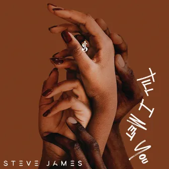 Till I Met You by Steve James