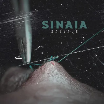 Salvaje by Sinaia