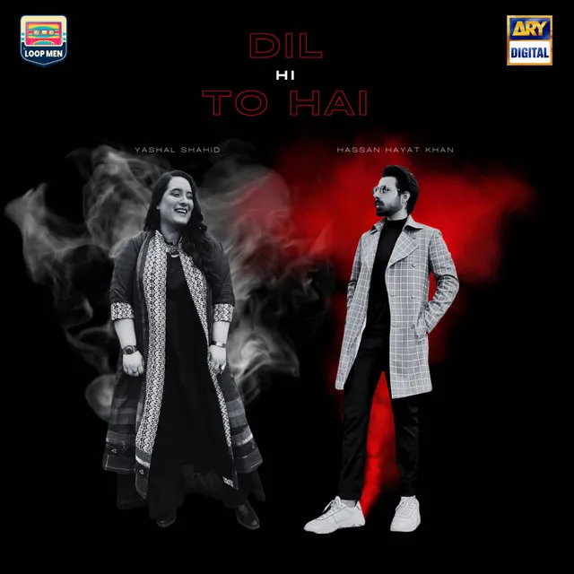 Dil Hi To Hai (Original Sound Track)