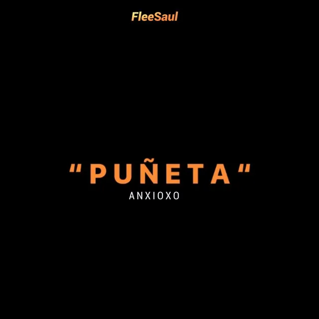 Puñeta