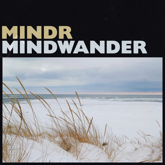 Mindwander