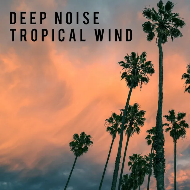 Tropical Wind