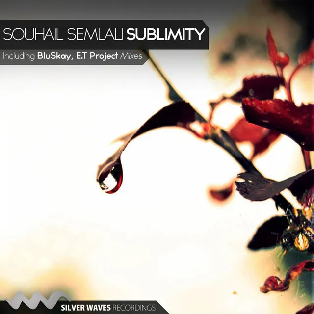 Sublimity - BluSkay Remix