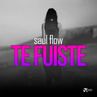 Te Fuiste by Saul Flow