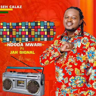 Ndoda Mwari by Seh Calaz