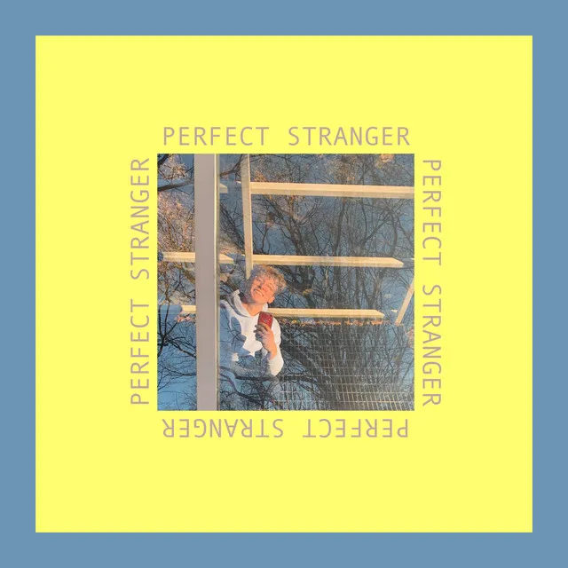 Perfect Stranger