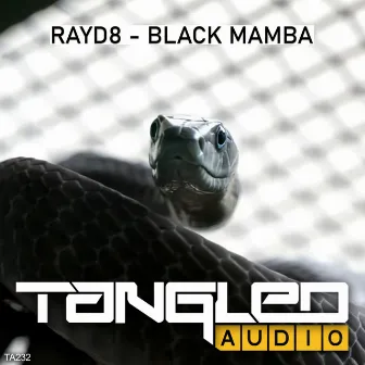 Black Mamba by RayD8