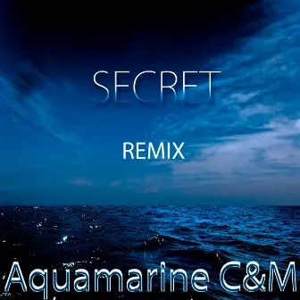 Secret (Remix) by Aquamarine C