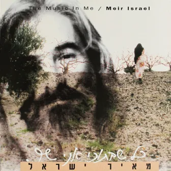 כל שבתוכי אני שר by Meir Israel