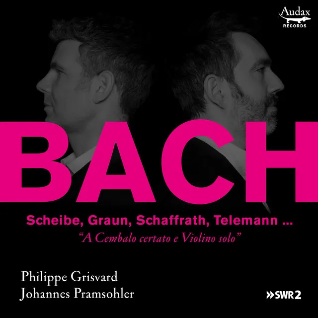 Scheibe: Sonata III in A Major: III. Largo