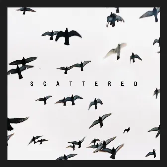 Scattered by Xavier Dunn