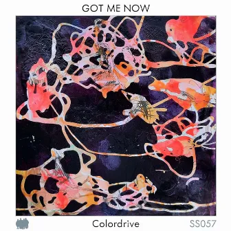 Got Me Now by Colordrive