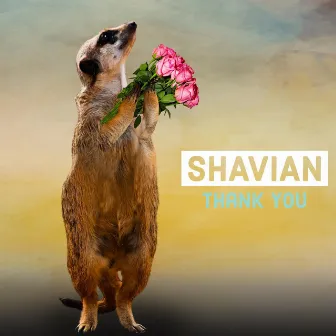 Thank You by Shavian