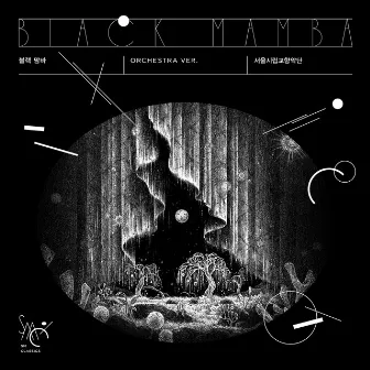 Black Mamba (Orchestra Version) by Seoul Philharmonic Orchestra