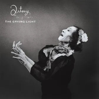 The Crying Light by Antony and the Johnsons