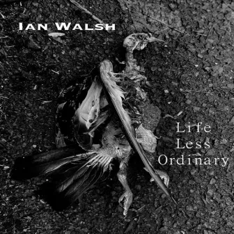 Life Less Ordinary by Ian Walsh