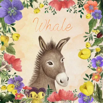 Donkey by Whale yorke