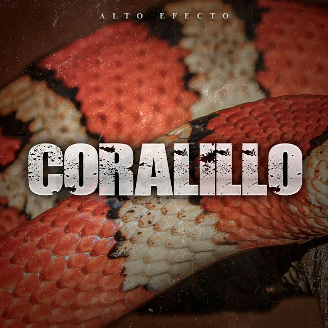 Coralillo