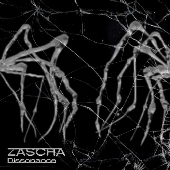 Dissonance by Zascha